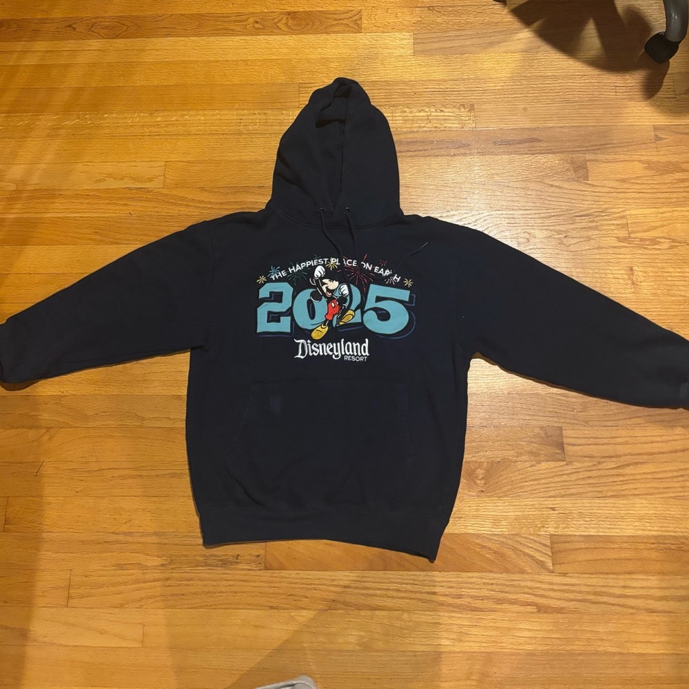 Disneyland Resort Navy 2025 Hoodie Sweater